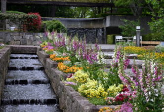 水戸市植物公園